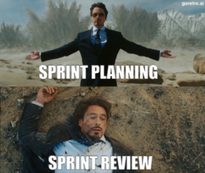 Read more about the article Sprint Review